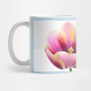 Tulipa  &#39;Atlantis&#39;   Single Late Tulip Mug